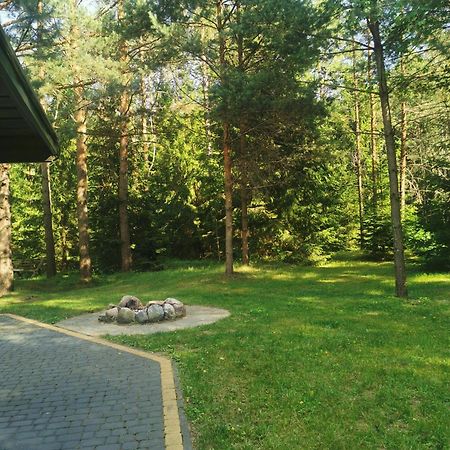 Namelis Su Pirtele Villa Druskininkai Luaran gambar