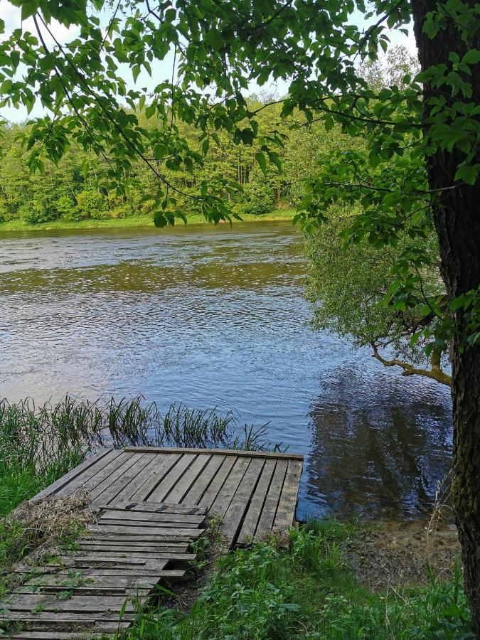 Namelis Su Pirtele Villa Druskininkai Luaran gambar