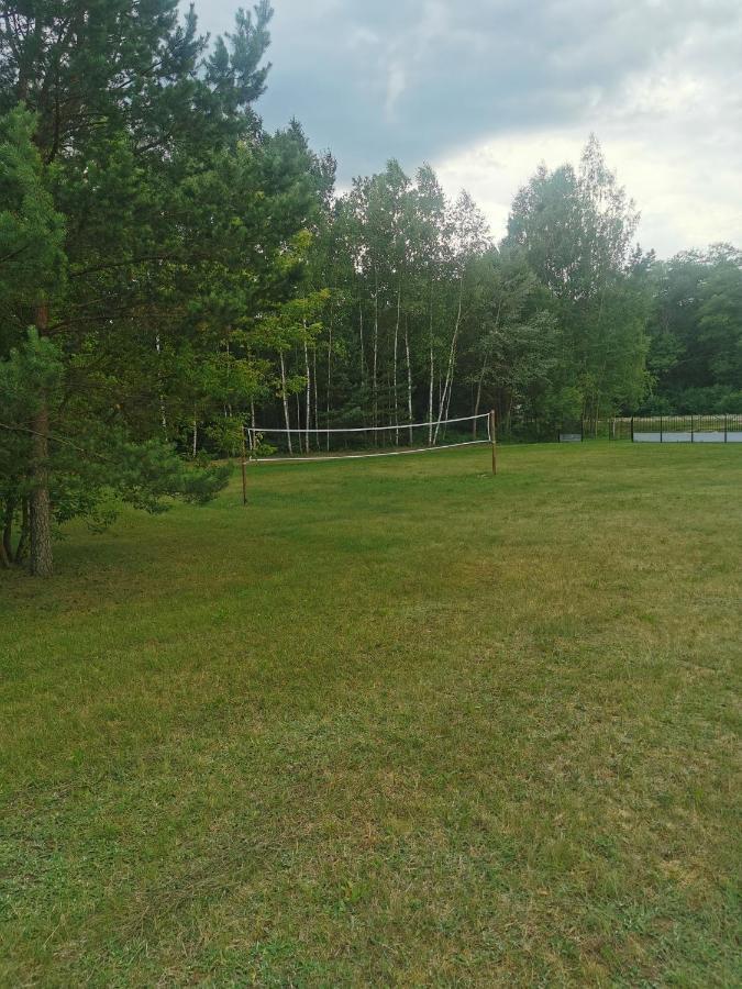 Namelis Su Pirtele Villa Druskininkai Luaran gambar