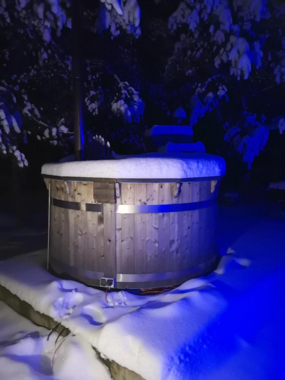 Namelis Su Pirtele Villa Druskininkai Luaran gambar